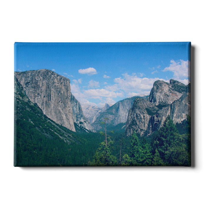 1020fa158307aab1eb85dd93b840d876.png