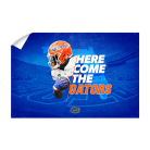 22bba071cd997c82286d45ab818bf765.png
