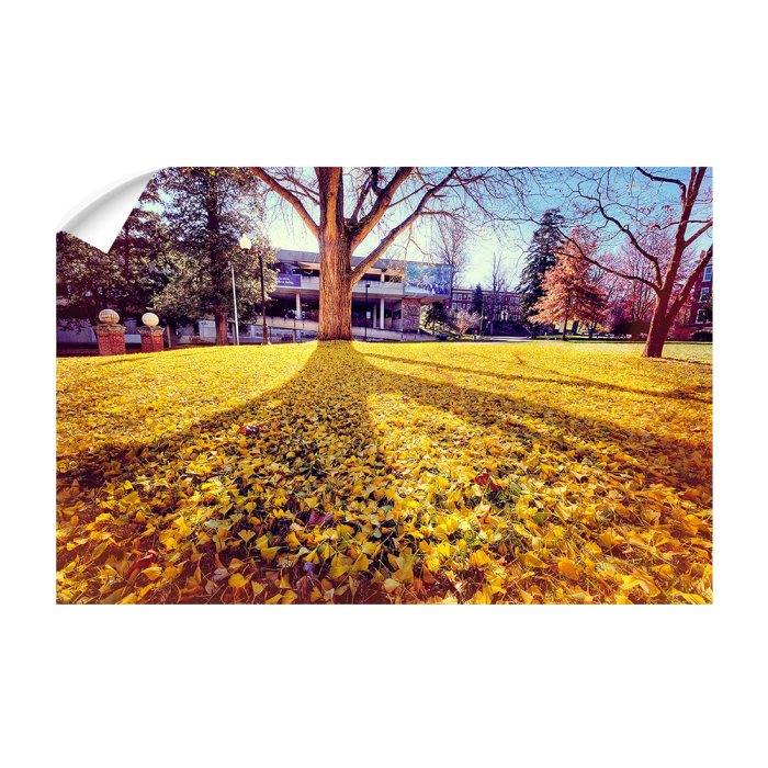 2b4fb068ab5386f56ca2563fa5db962c.png