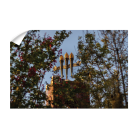 385e79f5ce8b98f9eb7d43451c331013.png
