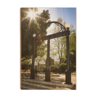 506166ff93bae44ef9d4931af26c30d0.png