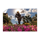 56ca2789ff6c0be368eab9605c0fcc7d.png