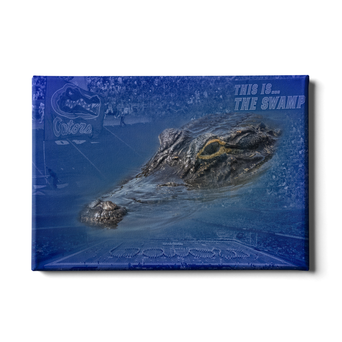 87cf9738d426ecdc5b0760469c8b3873.png