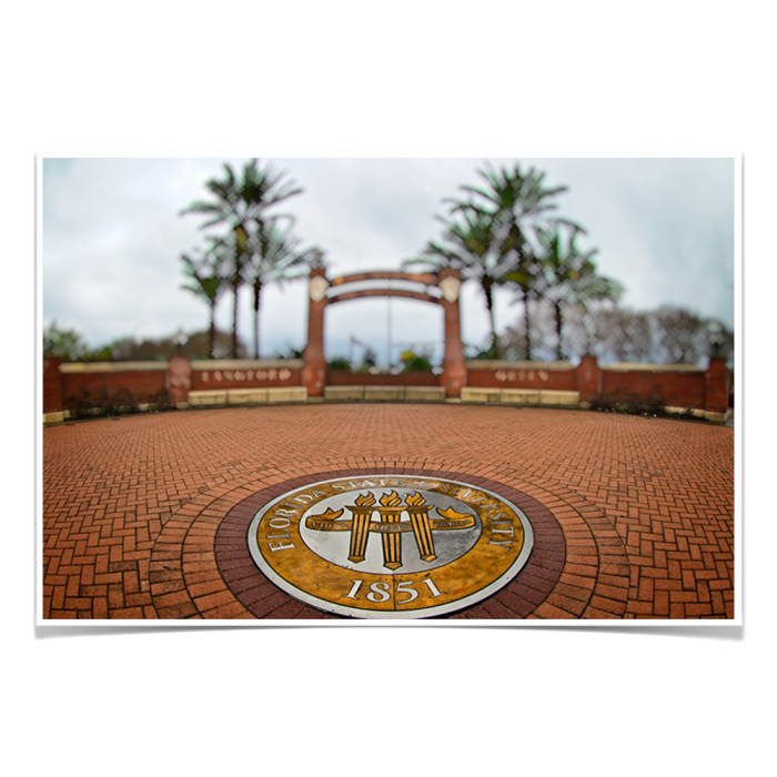 87cfbe3b5f06478d0002256f59679e41.png