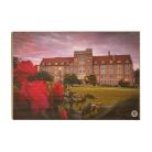 8aa9b4febbafe6d784a684f95f6adf88.png