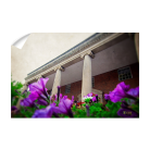 a237c1e6852ba6df6c60bfcca87d5698.png