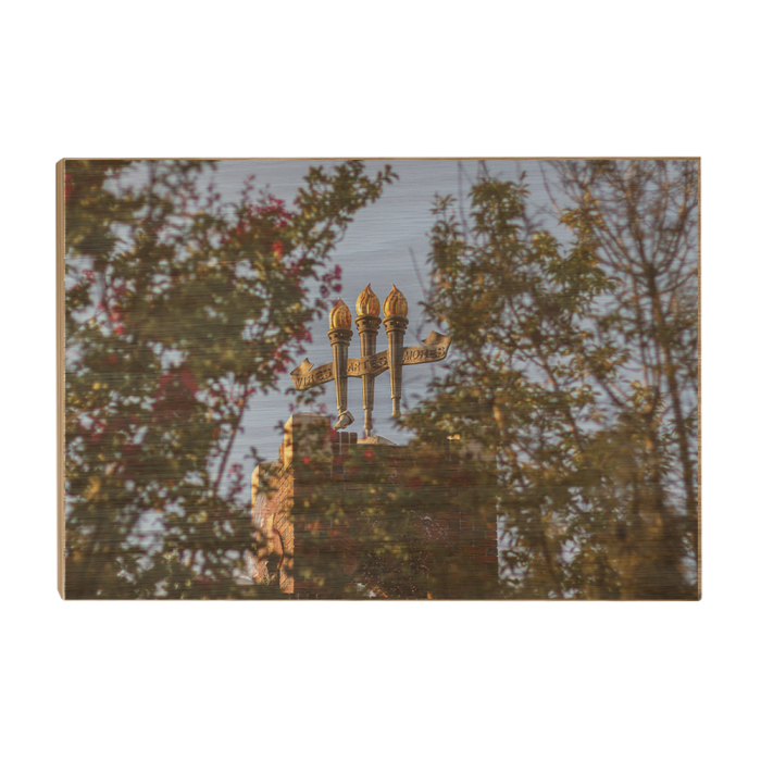 a32e6503972ebf18dd1d2f9e411f97b7.png
