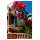 a3d78257f30491c5ee5a77efacb3121a.png