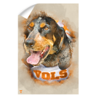 c06355ec244340835974004b2501379f.png