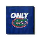 e71bee5919aa4942a3137eeff3a34b5e.png