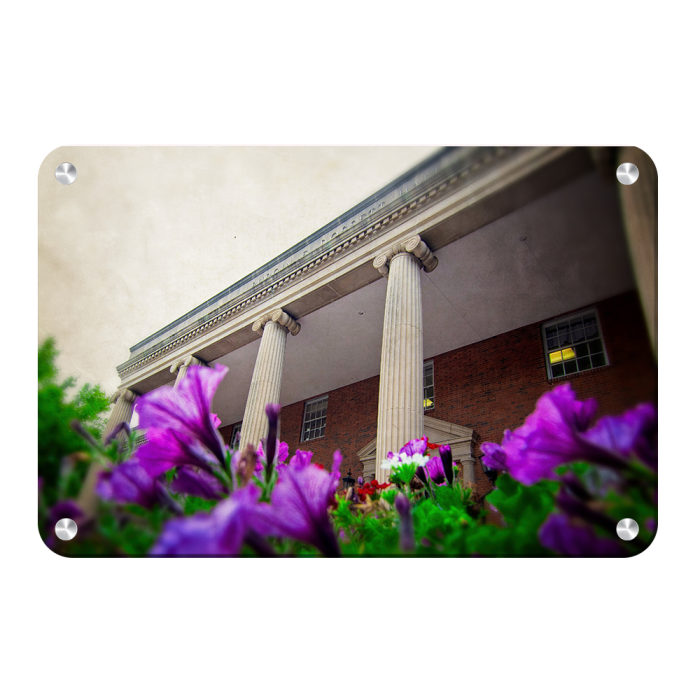 ec6a90554b36dac2a7bddcbe61609a1e.png