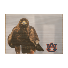 f351cd0a375907d6155b4a63d8705b52.png
