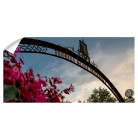 f6b44c5a1f5cb10705d6b916d6367bdf.png
