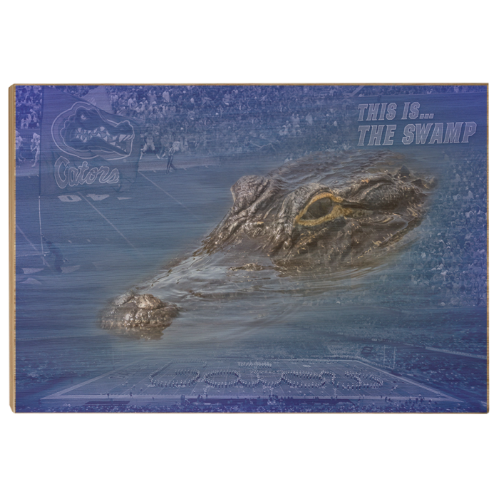 fb3a4e8ef0829596ae1faf3d14782bba.png