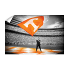 04b87099f414efacd516e912b2c819a1.png