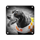 13b398173bd6da7dbdc0f777b037f14c.png
