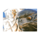14cbbe816fabc633a5b041f380fa8e34.png