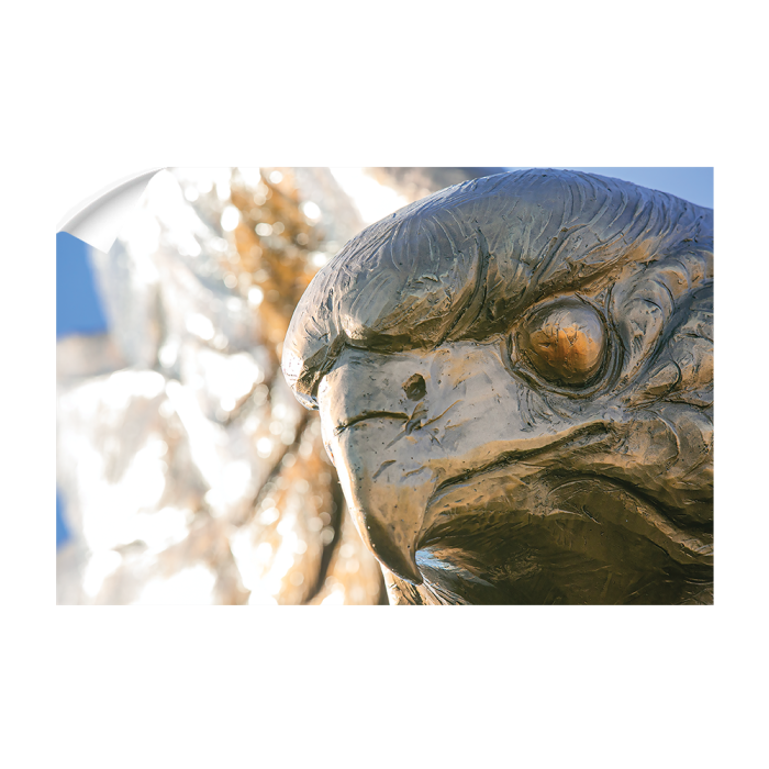 14cbbe816fabc633a5b041f380fa8e34.png