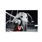 154e23d11abf37aa0285f486f46f8dee.png