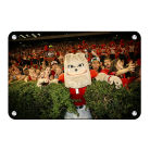 16f0034268418af5d1ccf6c3cb3e908d.png