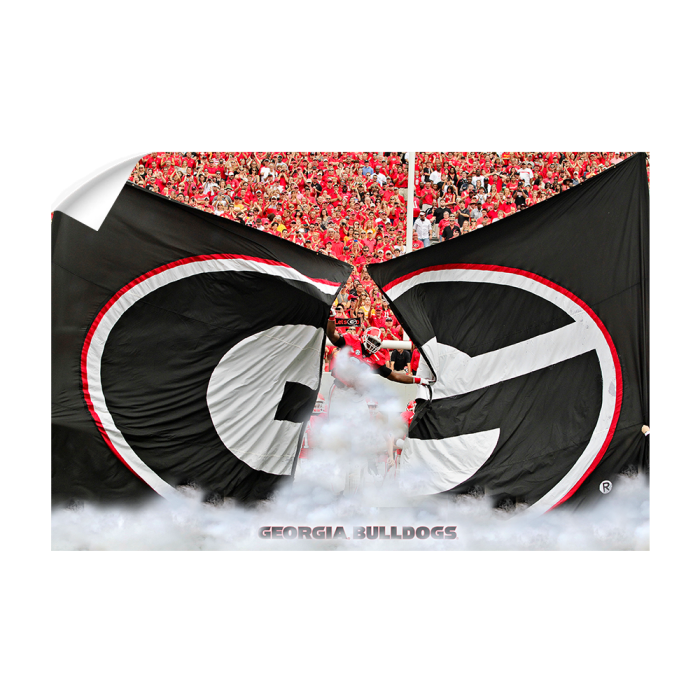 1b204fb41335a4c86f7dd3c20262e19b.png