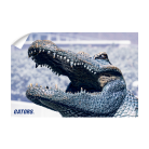 1c7f9b89957e8f658e4735f6696d3f2d.png