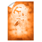 1d91c270cc1cc9b8cca7f5f45b146d69.png