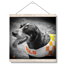 2a8c19704f494bb5143b041a347ab8fc.png