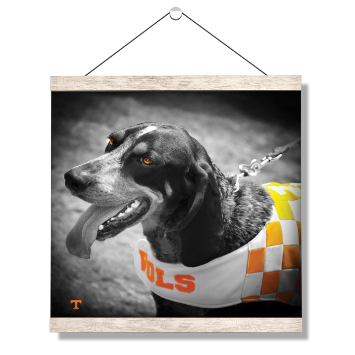 2a8c19704f494bb5143b041a347ab8fc.png
