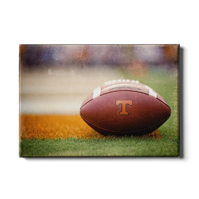 2c485ff17c4d8003fde6f3dc7b74efc9.png