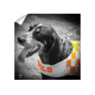 3520546f69de761ef79fddc2bf94dd18.png