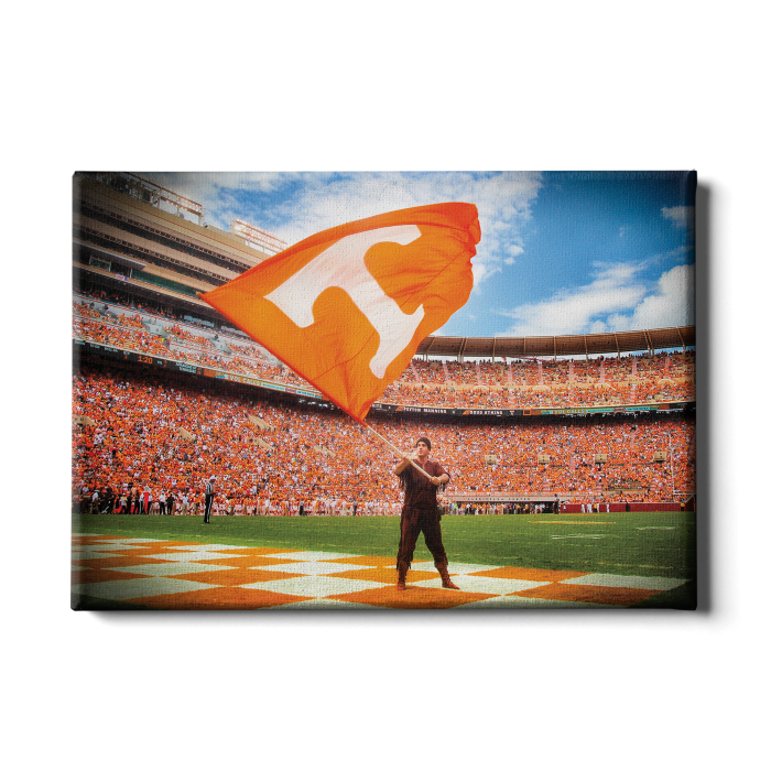 3c0eb3d85a0142fee600ff50b7141764.png