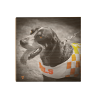 407239583f1fb6fb8e67805c75540b7f.png