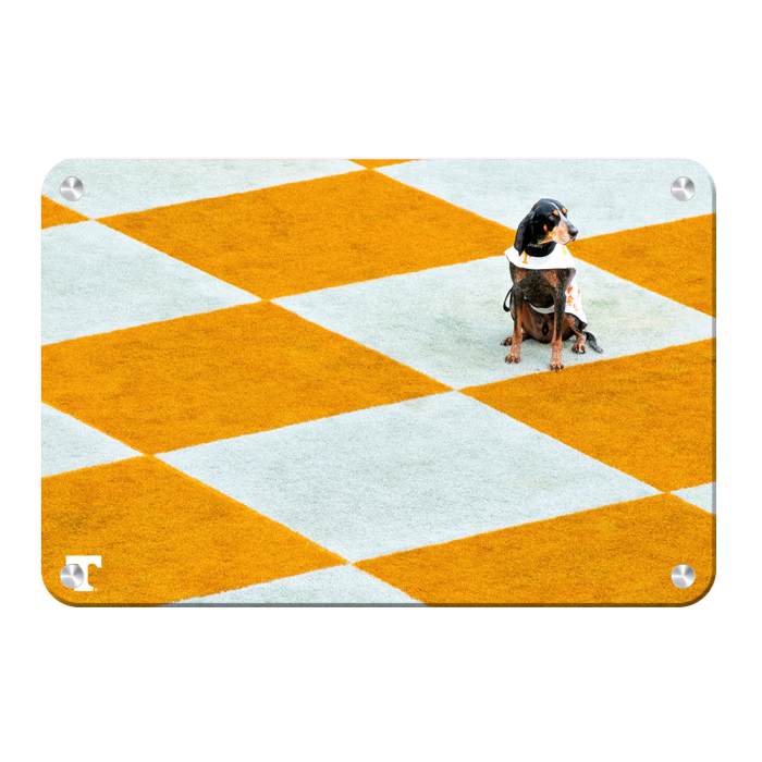 4154867803934a8b3f5a5d0942fbe5d9.png