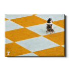 50492a13de3224129c1d99b98d7dee88.png