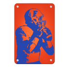 5ad0113706a012fbb419ce1fed8083d7.png