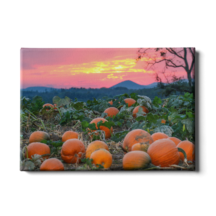 5c851656cb1b754f3aeff8f8dfb39a7b.png