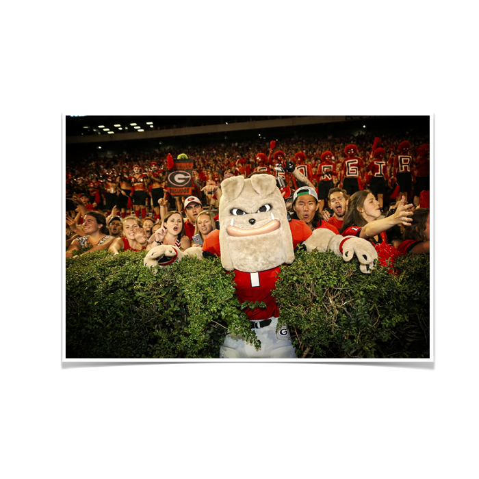 67300c4b50bbda0fb3d5215f16392fba.png