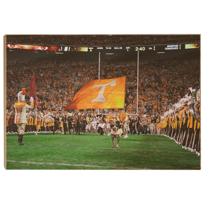 6731f4088b7198597c4f5d79b01935a6.png