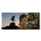 6783e3e0ca5073a8110fcd4ec9a91bf7.png
