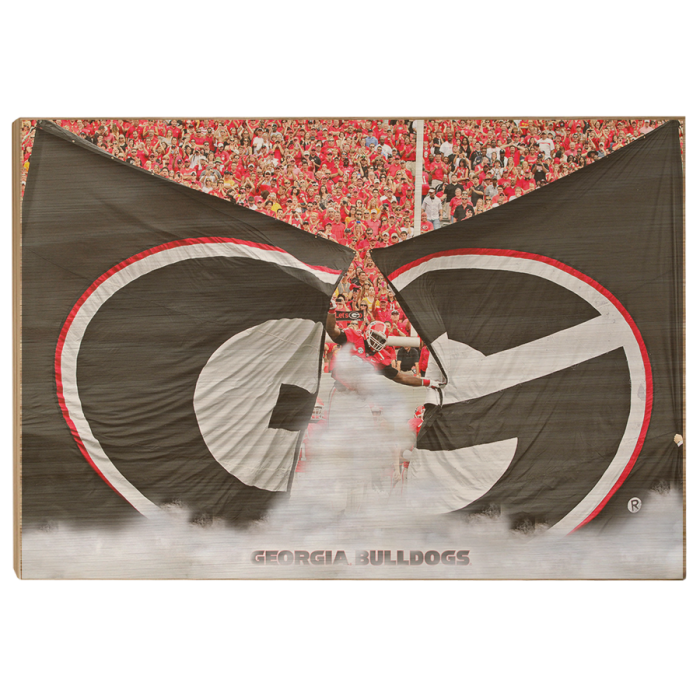 6bcecc1f55ac3ffd9fa9c041c3d4902b.png