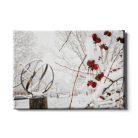 6cef43c1ceece95f01dc460e9ab8fe0b.png