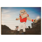 72d4afe0010b0d3e401ef5ec3e0071c6.png