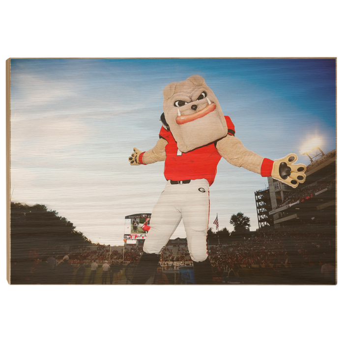 72d4afe0010b0d3e401ef5ec3e0071c6.png