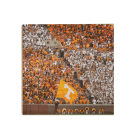 776a95c4842d2e101b13e94721588f3c.png