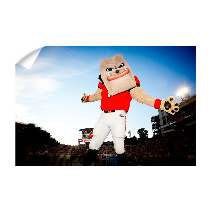 7af0ab02c1b8926a99e70c59df92c2b0.png