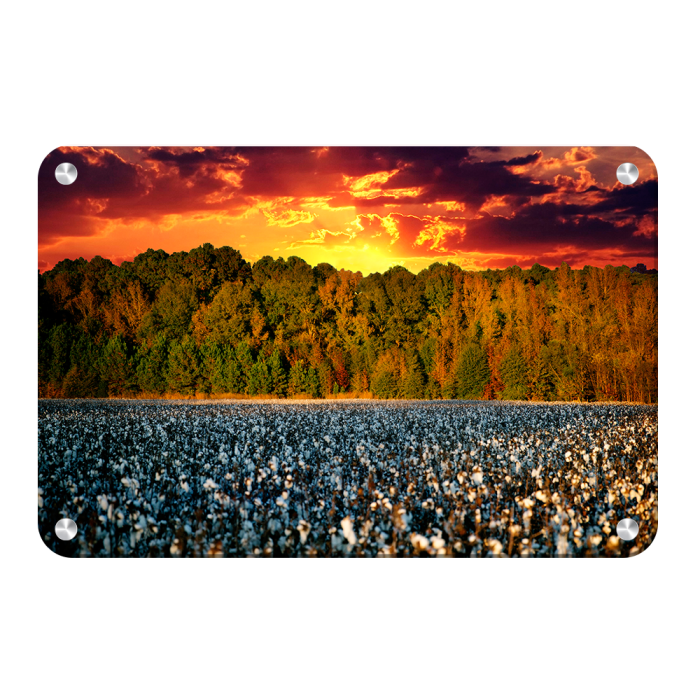 7cb9334a1ddac42e845f0b7559563f76.png