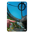 7e8105b6a7017693a73549043d434a35.png