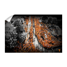 7f229a1a51e5d699cbfe8cf29a414ee1.png