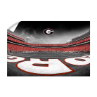 81ef57a3ec1a48a2399ae277ccb2f161.png